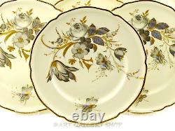 Rosenthal Germany IVORY & GOLD FLORAL BOUQUET 10-7/8 DINNER PLATES Set of 12