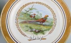 Royal Copenhagen. Set of five large dinner / decoration plates with bird motifs