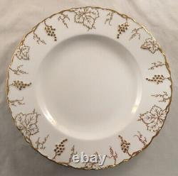 Royal Crown Derby Fine Bone China Vine Gold Pattern Set Of 10 Dinner Plates