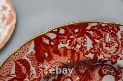 Royal Crown Derby Red Aves Dinner Plates Set of 6- 10 1/2 FREE USA SHIPPING