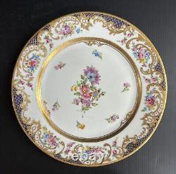 Set 11 Antique/VTG Dresden Dinner Plates HP Floral Gold Encrusted 10 5/8D