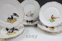 Set 11 Vintage Heinrich German Hand Painted Porcelain Birds Dinner Plates Gold