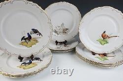 Set 11 Vintage Heinrich German Hand Painted Porcelain Birds Dinner Plates Gold
