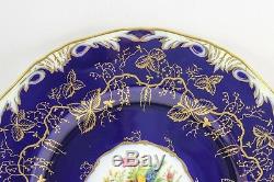 Set 6 Hand Painted Dinner Plates Royal Worcester China Z1486 Cobalt Gold Flower