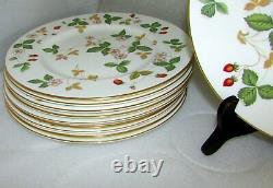 Set Of 10 Wedgwood Wild Strawberry Dinner Plates 10 3/4 Bone China England