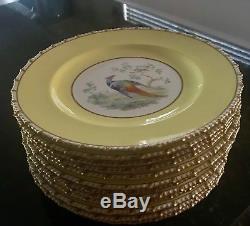 Set Of 12 Royal Crown Derby Dinner Plates Gold Rim Vintage China