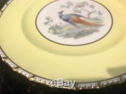 Set Of 12 Royal Crown Derby Dinner Plates Gold Rim Vintage China
