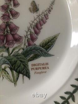 Set Of 6 Portmeirion Dinner Plates 10.5 Botanic Garden England. Perfect