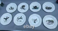 Set Of 8 Vintage Porcelain Delano Studios 10 Dinner Game Plates With Wildlife