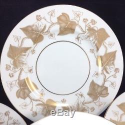 Set of 10 Wedgwood Napoleon Golden Ivy Dinner Plates Vintage Lot W3852