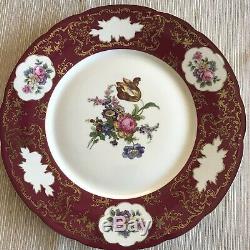 Set of 12 Baronet Czechoslovakia Maroon Floral Dinner Plates Made in Bohemia