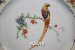 Set of 12 Golden Pheasant (Octagonal) by ALTROHLAU 9 1/2 Dinner Plates MINT