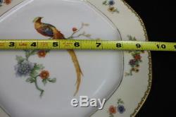 Set of 12 Golden Pheasant (Octagonal) by ALTROHLAU 9 1/2 Dinner Plates MINT