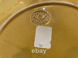 Set of 2 Vintage Terre Provence France Dinner Plates 12 Yellow NWT EUC 32