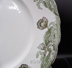 Set of 5 Geneva Green Gold New Wharf Pottery Semi Porcelain Dinner Plate 9.75