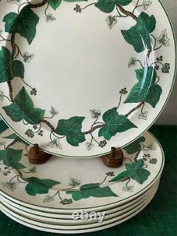 Set of 6 Wedgwood NAPOLEON IVY Dinner Plates Made in England'modern' Marks