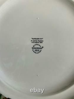 Set of 6 Wedgwood NAPOLEON IVY Dinner Plates Made in England'modern' Marks