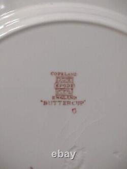 Set of 7 Copeland Spode BUTTERCUP Dinner Plates Made in England Old Marks