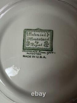 Set of 76 pieces of tableware Vintage Colonial Homestead nice vintage stuff