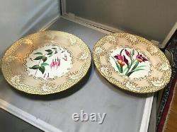 Set of 8 early antique ENGLISH BOTANICAL CABINET PLATES all different 9 1/3 D