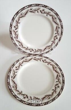 Setting for 2 Wedgwood Plymouth Williams Sonoma Bown Oak Acorn Dinner Plates++