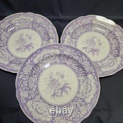 Spode Georgian Series Botanical & Floral 25.5cm Dinner Plate 6sets lilac color