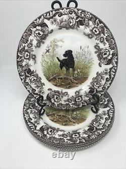Spode Woodland Hunting Dogs Black Labrador Dinner Plates Set of 4 New