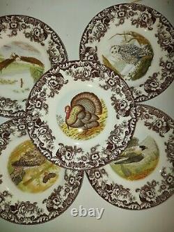 Spode Woodland set of 5 dinner plates featuring Birds of Prey
