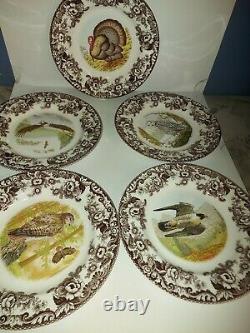 Spode Woodland set of 5 dinner plates featuring Birds of Prey