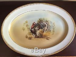 Stunning Set Vintage Princess Turkey Platter and 12 Dinner Plates Thanksgiving