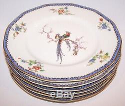 Stunning Vintage Set Of 6 Haviland Limoges France Paradise 9 1/2 Dinner Plates