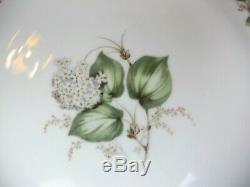 Superb vintage Franconia White Hydrangea Dinner Service / Set for 10. Plates