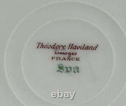 Theodore Haviland Limoges Spa Dinner Plates 9 1/4 Set Of 6 France Circa 1903
