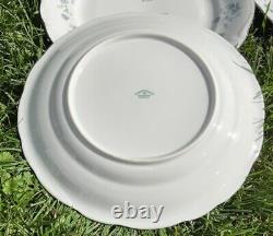 Vintage Johann Haviland Bavaria Germany Fine China Dinner Ware Set, Dishes