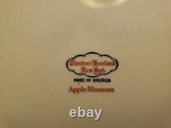 Vintage Theodore Haviland New York Apple Blossom 24 Pc Starter Set Service For 4