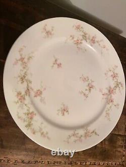 Vtg. Theodore Haviland Limoges France Pink Floral 9 3/4 Dinner Plates Set of 10