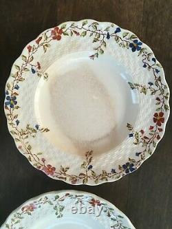 Wicker Dale china by Spode, huge set of 62 pieces