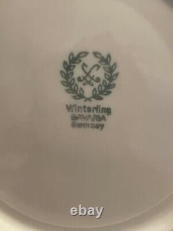 Winterling Bavaria Germany China WIG3 Set Of 8 + extras fine bone china